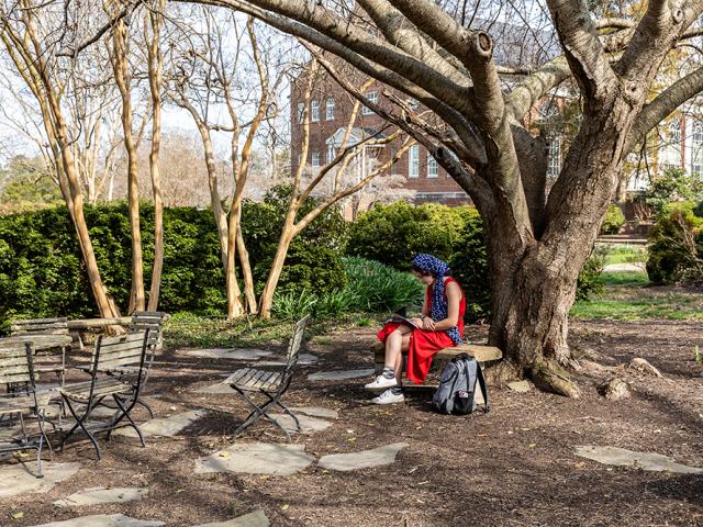 A person in a red dress sits under a large tree, reading or writing in a notebook, with empty chairs and tables nearby in a garden setting.