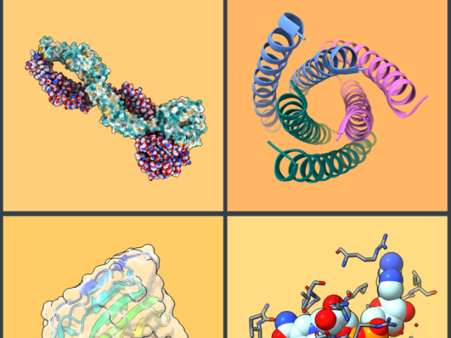 Cover art for "Seeing the Invisible: Learning to Teach with Biomolecular Visualization," featuring four colorful 3D molecular structure models.