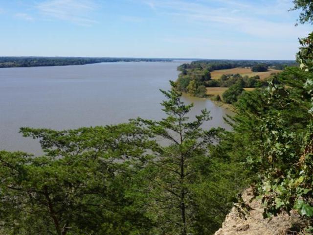 View of a wide river bordered by trees and grassy areas, seen from an elevated vantage point on a clear day.