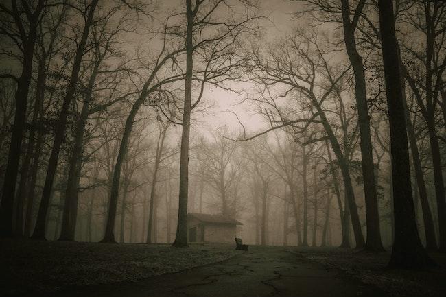 Spooky Macbeth