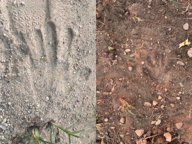 two pictures of the ground