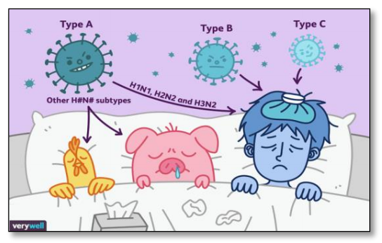 flu