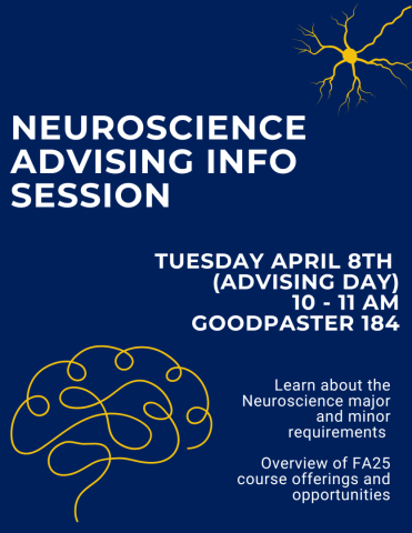 Blue flyer for a Neuroscience Advising Info Session on Tuesday, April 8th, 10-11 AM at Goodpaster 184. At the session you can learn about the neuroscience major and minor, and requirements