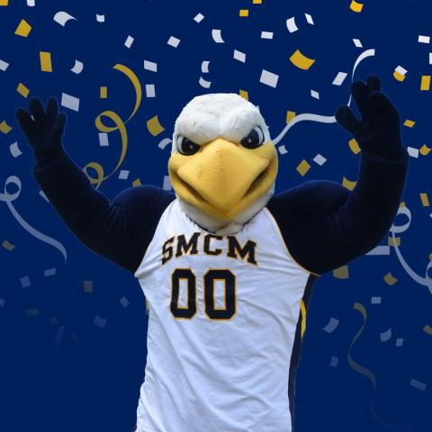 Solomon the Seahawk Celebrating