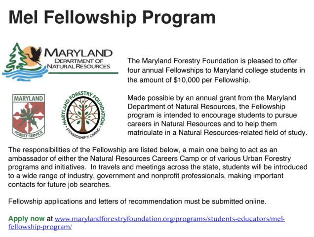Informational flyer about the Mel Fellowship Program by the Maryland Forestry Foundation, explaining fellowship details, responsibilities, and application instructions.