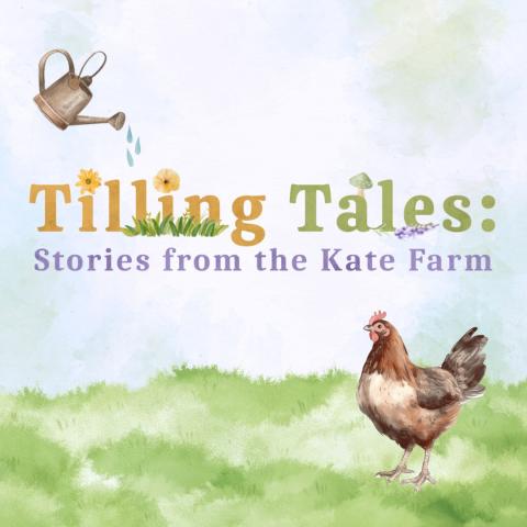 Illustration of a chicken on grass with a watering can above the text "Tilling Tales: Stories from the Kate Farm" in decorative fonts.