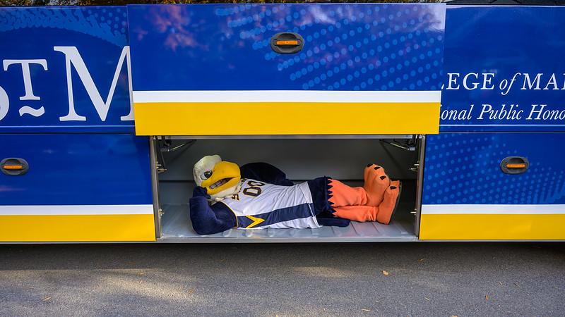 Solomon the Seahawk lies inside an open luggage compartment of the River Runner bus.