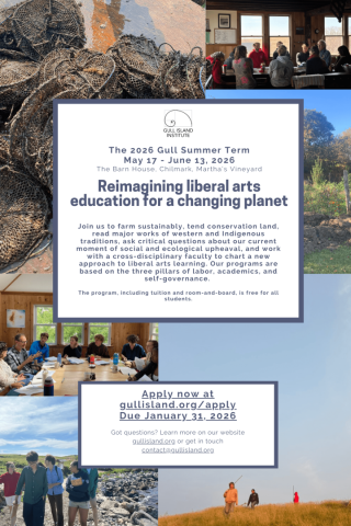 Poster for the 2026 Gull Summer Term promoting a program on reimagining liberal arts education, with event dates, program details, images of activities, and application information.