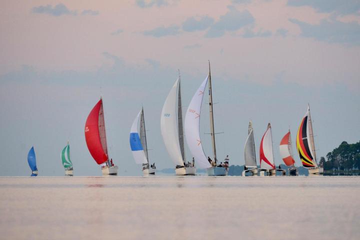 image of Gov Cup race
