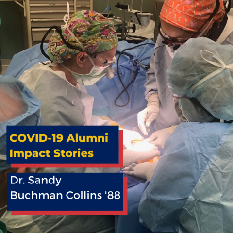 Dr. Sandy Buchaman Collins pictured in operating room