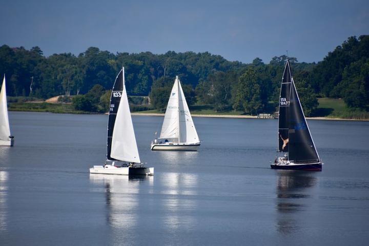 sailboats pictured competing in Gov Cup