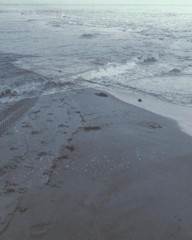 a piece of art showing water tides done by Mary Claire Nameth using large scale printing on Tyvek material