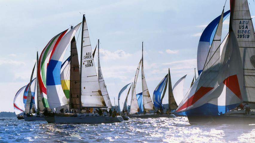 Sailboats at the start of the Governor's Cup