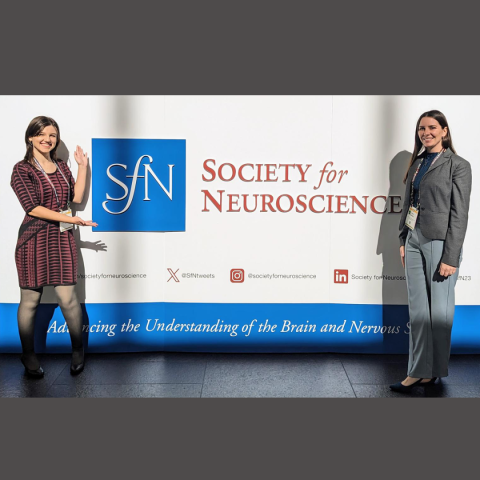 Barnes and Estremsky at SfN conference
