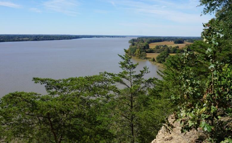 View of a wide river bordered by trees and grassy areas, seen from an elevated vantage point on a clear day.