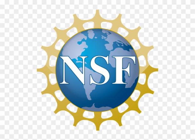 NSF logo featuring a blue globe with white continents, the letters "NSF" in white, and a gold gear-like border.