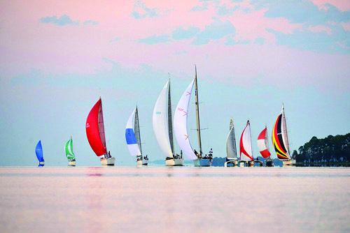 Nine sailboats with colorful sails are sailing on calm water under a pastel sky, with trees visible in the distance on the right side.