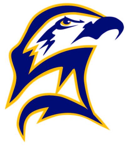 Stylized illustration of a hawk’s head in profile, drawn with bold navy blue lines and outlined in yellow. The hawk has a fierce expression and a prominent beak.
