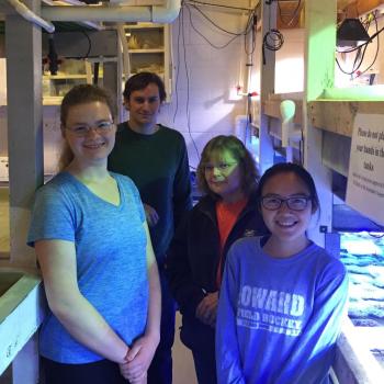 Students maintain the Maryland Marine Microcosm Lab