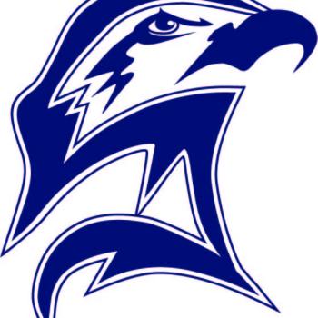 seahawk head logo