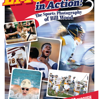 Emotion in Action poster image