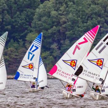Several sailboats with colorful numbered sails racing on a lake, with trees in the background.