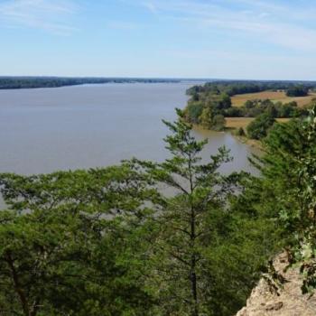 View of a wide river bordered by trees and grassy areas, seen from an elevated vantage point on a clear day.