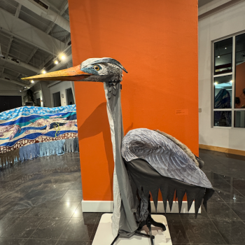 A life-sized, realistic puppet of a gray heron stands on display indoors in front of an orange wall.
