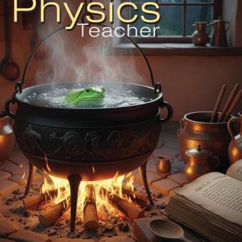 The Physics Teacher magazine cover for January 2026, showing a green frog in a steaming cauldron over a fire.